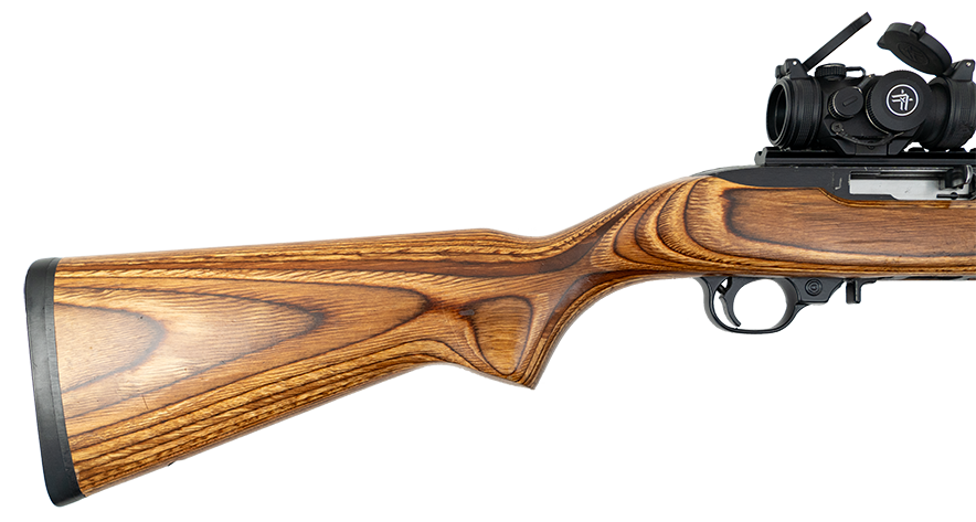 "William" - Ruger 10/22 - .22 LR