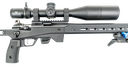 "" - Tikka T1x Ace Target - .22LR