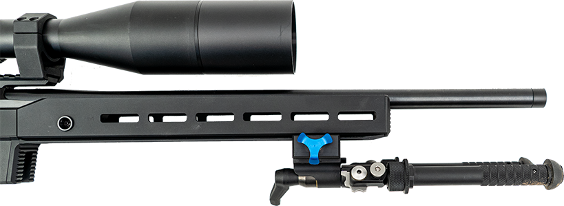 "" - Tikka T1x Ace Target - .22LR