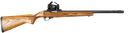 "William" - Ruger 10/22 - .22 LR