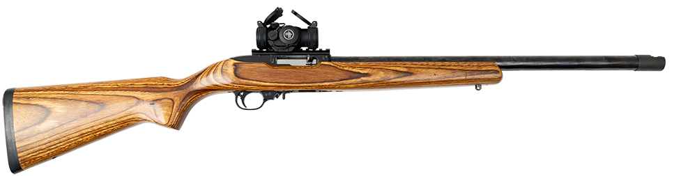 [246-76305] "William" - Ruger 10/22 - .22 LR